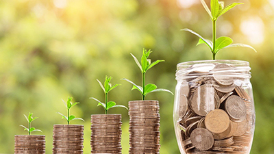 網站的價值(一個網站多少錢)